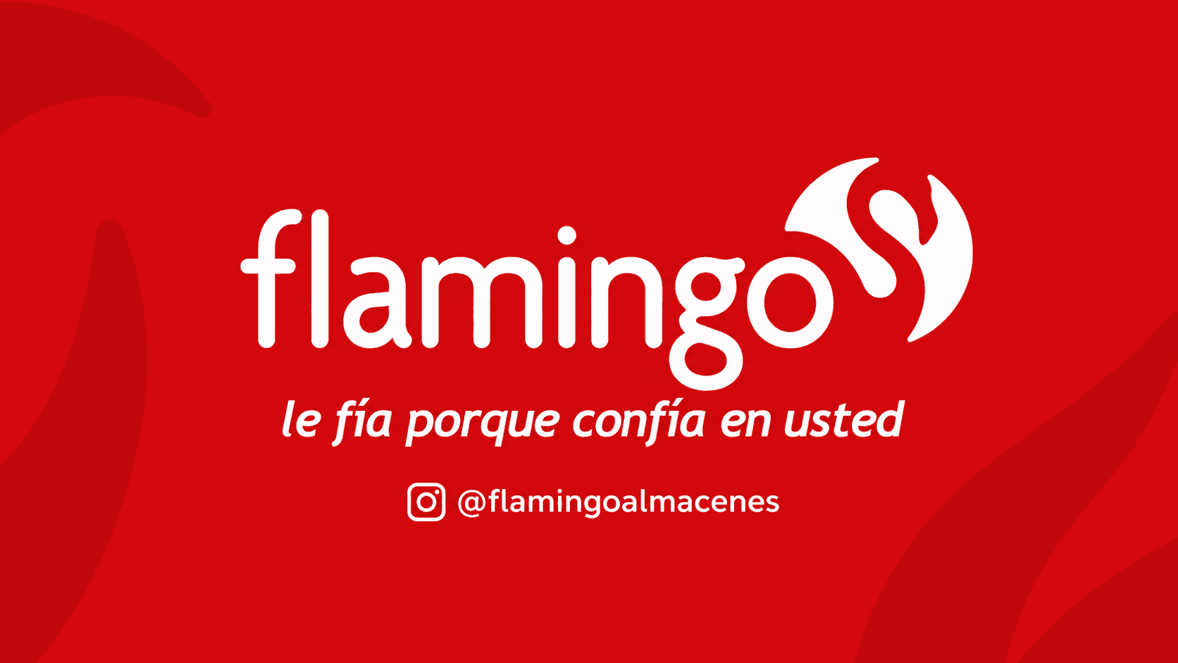 Portada de Flamingo